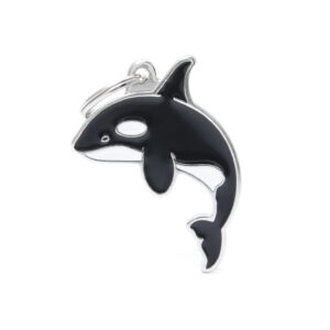 MEDAILLE ORQUE